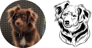 Line-Art-Hundeaufkleber - Ihr Hund als einzigartiges Kunstwerk