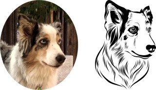 Line-Art-Hundeaufkleber - Ihr Hund als einzigartiges Kunstwerk