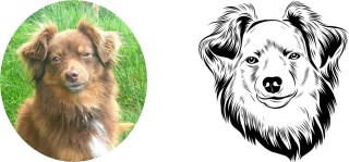 Line-Art-Hundeaufkleber - Ihr Hund als einzigartiges Kunstwerk